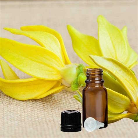 Ylang Ylang Essential Oil » Zen Aroma