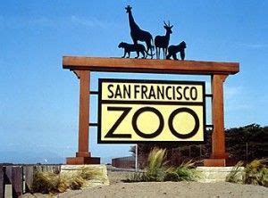 [@usfca Summer Fun] Free admission to the San Francisco Zoo! Go check out those lions, tigers ...