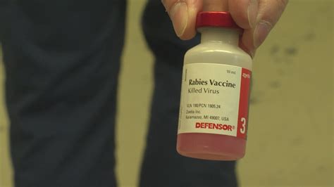 Midcoast Human Society to offer rabies vaccine clinic | newscentermaine.com