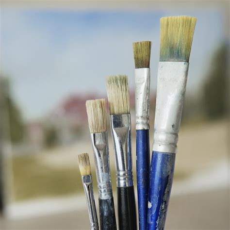 Which Types of Hairs and Bristles are Used in Paint Brushes? | Paint brushes, Oil paint brushes ...