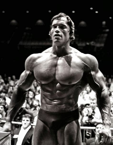 Arnold Conquer Wallpapers - Wallpaper Cave