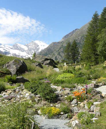 Giardino Botanico Alpino Paradisia (Cogne): Aggiornato 2018 - tutto quello che c'è da sapere ...