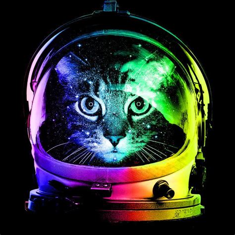 Cat Astronaut Wallpapers - Top Free Cat Astronaut Backgrounds ...