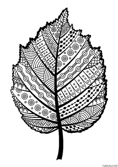 Leaf Patterns Coloring Page » Turkau