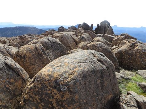 Dzung Nguyen's Blog: Mt Ossa Summit, the highest peak in Tasmania