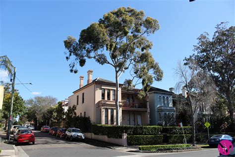 Photos that will make you love Glebe Sydney neighborhood