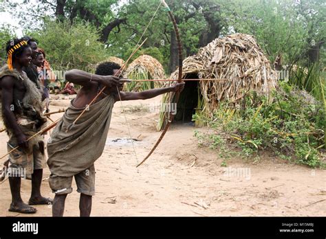 Hadza (or Hadzabe) Hunting party going to on a hunt. Photographed at ...