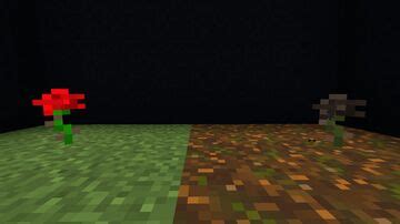 Wither Texture Packs | Planet Minecraft Community