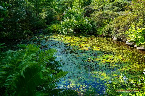 Canadian Nature Visions | Annapolis Royal Gardens