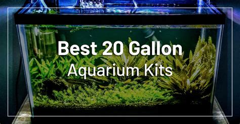 5 Best 20 Gallon Fish Tank Kits for Beginners (Updated 2019)