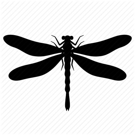 Dragonfly Wings Drawing at GetDrawings | Free download