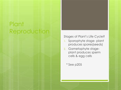 6.2 Plant Reproduction