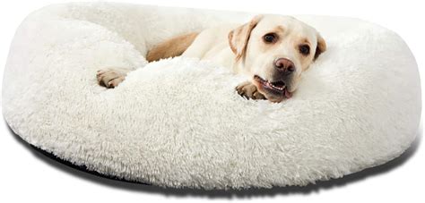 Dog Beds: Bring The Best Night Sleep To Your Friends - Allstealdeals