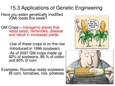 Application Of Animal Cell Culture In Genetic Engineering - 13 genetic ...