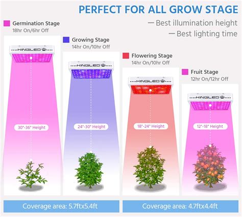 Best LED Grow Light Reviews 2019