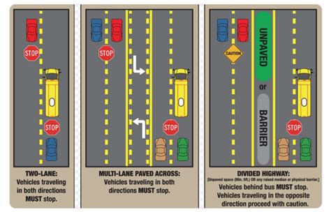 School Bus Laws in Texas: Do You Know When To Stop or Pass? | Liggett ...