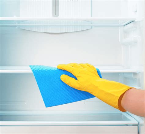 Useful Tips on Organizing and Cleaning a Refrigerator and Freezer ...