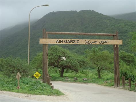 Why you should visit Salalah - in 2023