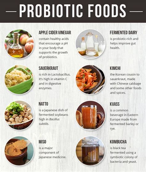 Foods High In Probiotics