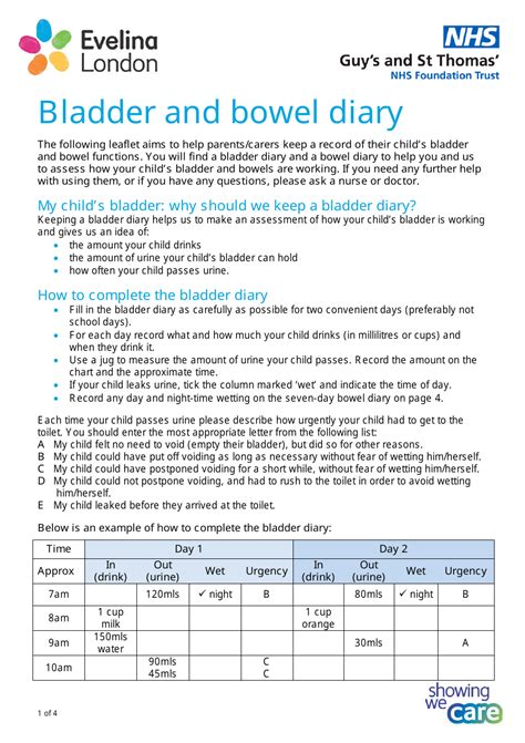 United Kingdom Bladder and Bowel Diary - Fill Out, Sign Online and Download PDF | Templateroller