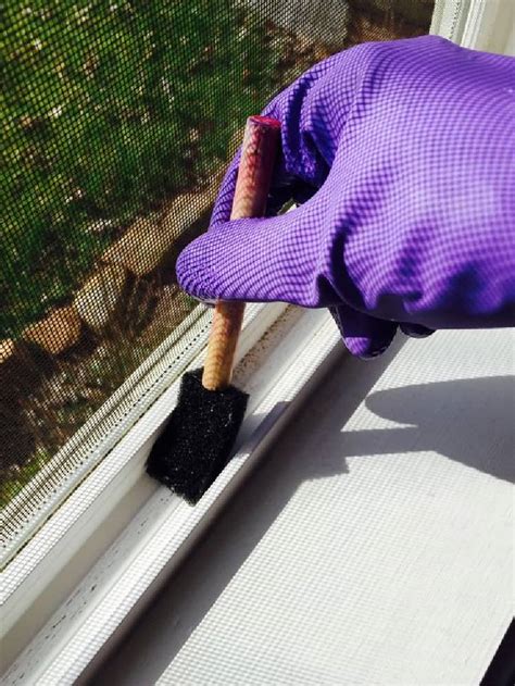 16 Window Cleaning Tips for the Cleanest Windows EVER