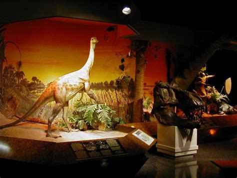 Inside Fernbank Science Center | Atlanta attractions, Science center, Things to do