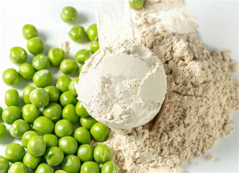 25 Vegan Protein Powder Recipes (That You'll Love)