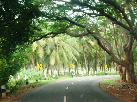 Valparai-TopSlip Trip: Pollachi to Valparai