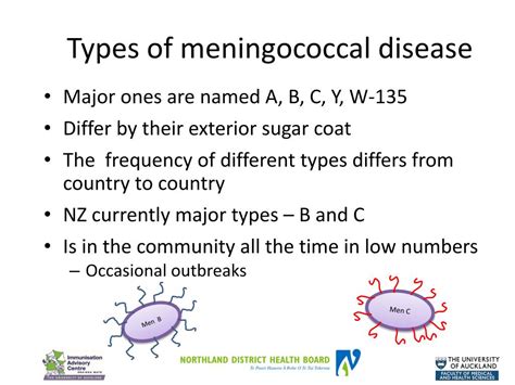 PPT - meningococcal disease and vaccination PowerPoint Presentation ...