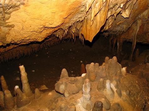 Florida-Caverns-State-Park-Marianna-FL-045