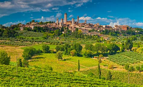 Top 10 Tuscan Winery Experiences » Cellar Tours