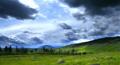 Scenery GIFs - Find & Share on GIPHY