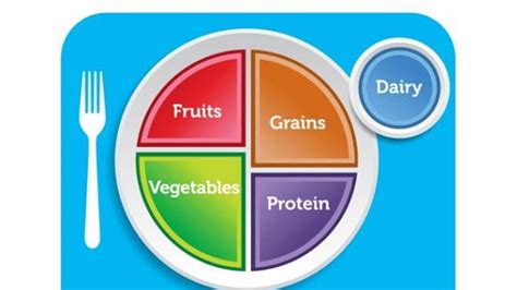 Active Fit: MyPlate helps monitor nutrition