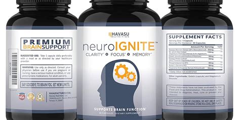 Best Supplements for Improving Memory | Inverse