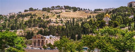 In the Footsteps of Messiah: The Mount of Olives | Messianic Bible