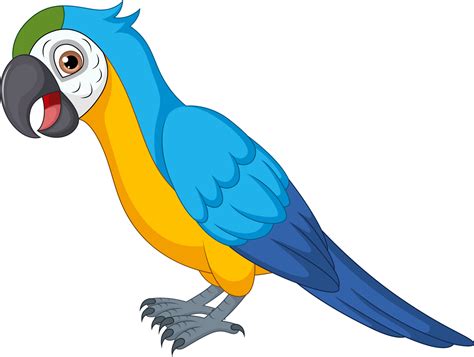 Cute macaw cartoon on white background 12706903 Vector Art at Vecteezy