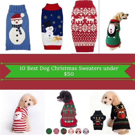 10 Best Dog Christmas Sweaters under $50 | by The Pets Point | Medium