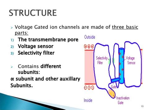 Ion channels