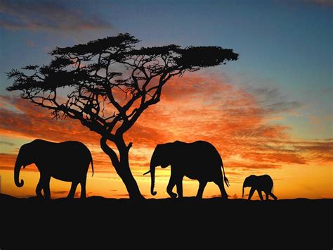 Pin von Maia Shippey auf elephants | Afrika landschaft, Landschaft illustration, Elefanten ...