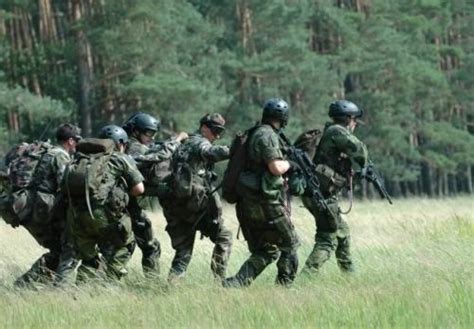 Danish Special Forces (Huntsmen Corps) - Weapons Lover