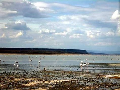 Lake Magadi Conservancy - 2020 All You Need to Know BEFORE You Go (with ...