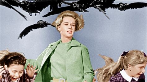 The Birds (1963) | MUBI