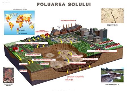 CLASA a-X-a A: Poluarea Solului