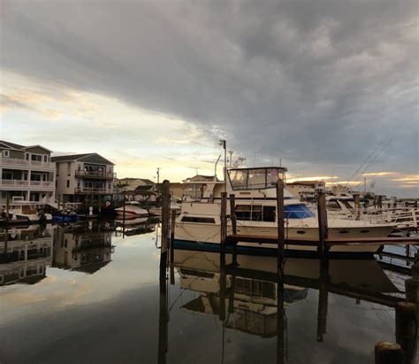 Wildwood Weather: Gray Monday