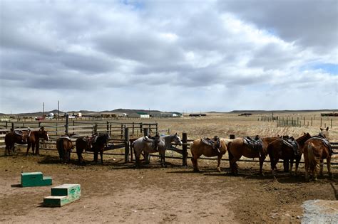 Wyoming Wanderers: Wander over to the bison ranch > F.E. Warren Air ...