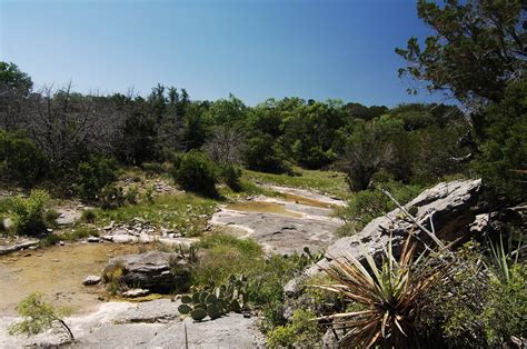 Passport to Texas » Blog Archive » Why Endangered Species Matter