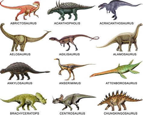 nombres de dinosaurios - Buscar con Google | Dinosauro, Dinosauri, Animali