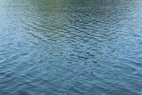 Water Background 2 Free Stock Photo - Public Domain Pictures