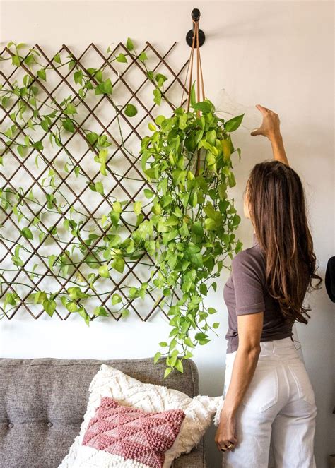 DIY Plant Wall (for under $100) - Melissa Frusco | Decoração das ...