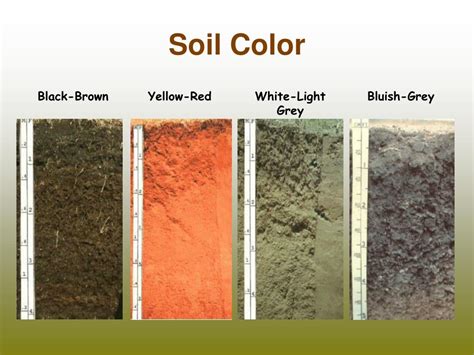 PPT - Physical Properties of Soils PowerPoint Presentation, free download - ID:5299983